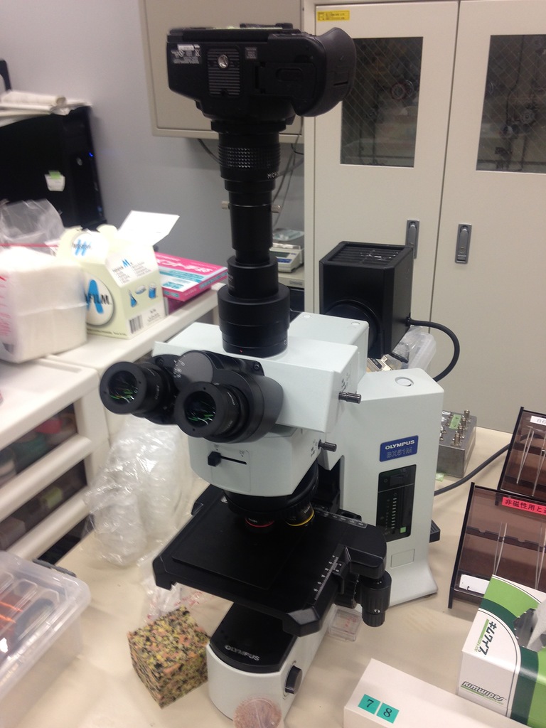 22 Optical microscopes.jpg